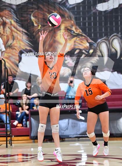 Thumbnail 2 in Nocona @ Poolville photogallery.
