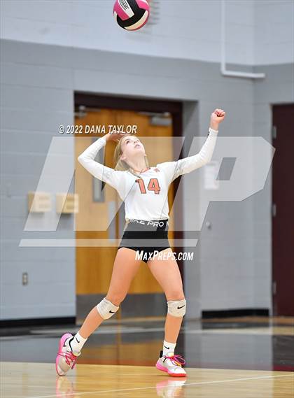 Thumbnail 1 in Nocona @ Poolville photogallery.