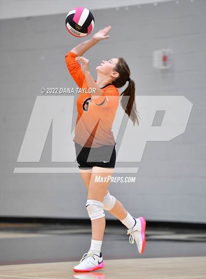 Thumbnail 1 in Nocona @ Poolville photogallery.
