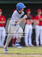 Photo from the gallery "Sierra @ Oakdale"