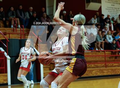 Thumbnail 3 in Collinsville @ Muenster photogallery.