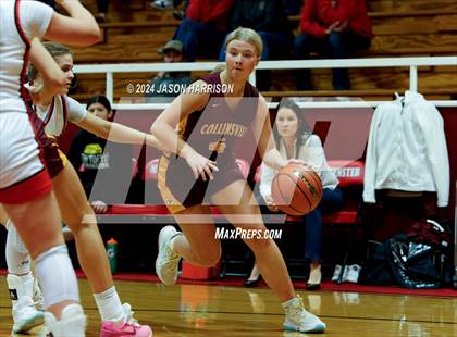 Thumbnail 3 in Collinsville @ Muenster photogallery.