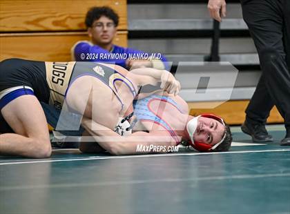 Thumbnail 1 in New Haven vs Lakeland photogallery.
