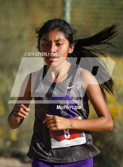 Thumbnail 2 in Golden League Finals photogallery.