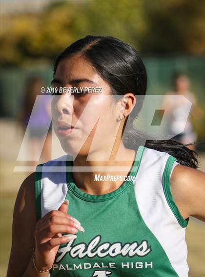 Thumbnail 2 in Golden League Finals photogallery.