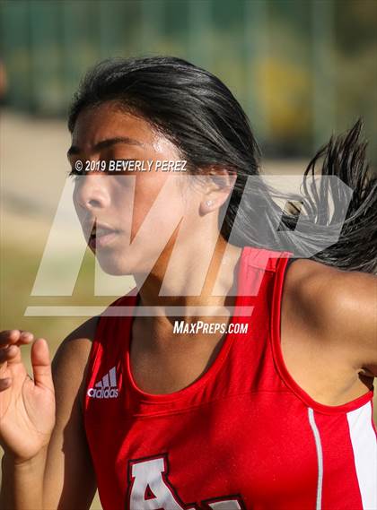 Thumbnail 2 in Golden League Finals photogallery.