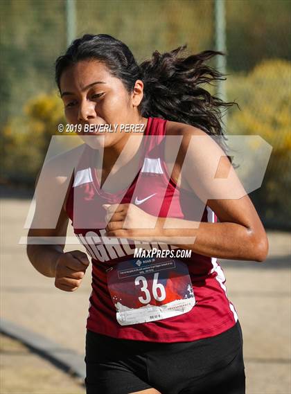 Thumbnail 2 in Golden League Finals photogallery.