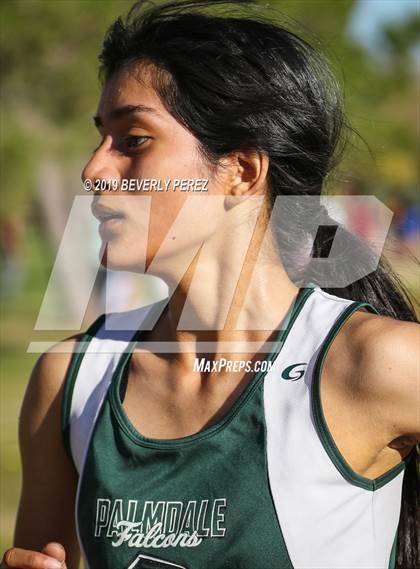 Thumbnail 1 in Golden League Finals photogallery.