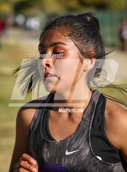 Thumbnail 3 in Golden League Finals photogallery.