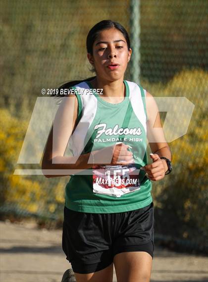 Thumbnail 3 in Golden League Finals photogallery.
