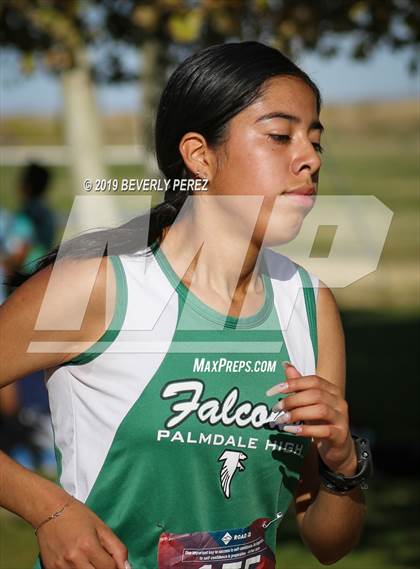 Thumbnail 2 in Golden League Finals photogallery.