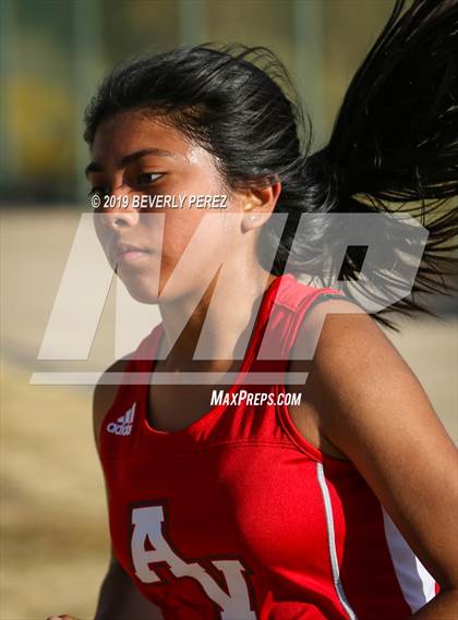 Thumbnail 1 in Golden League Finals photogallery.