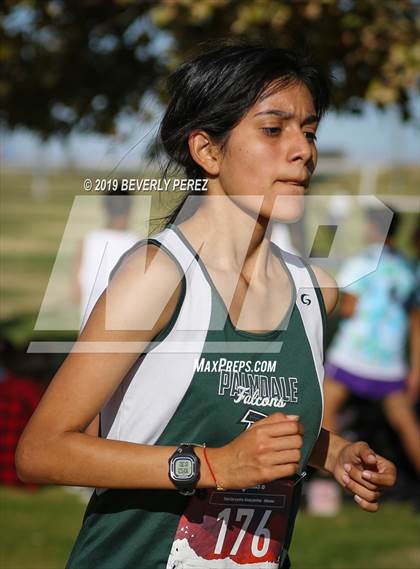 Thumbnail 1 in Golden League Finals photogallery.