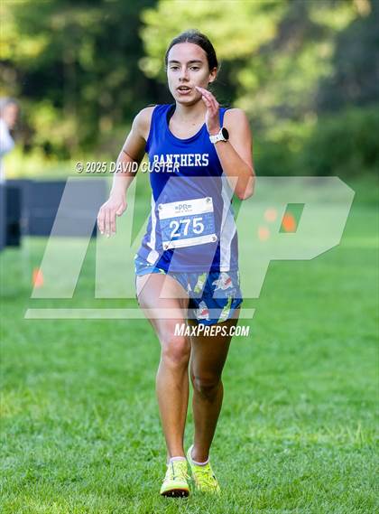 Thumbnail 2 in Potomac Falls @ Dominion photogallery.