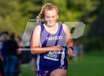 Thumbnail 1 in Potomac Falls @ Dominion photogallery.