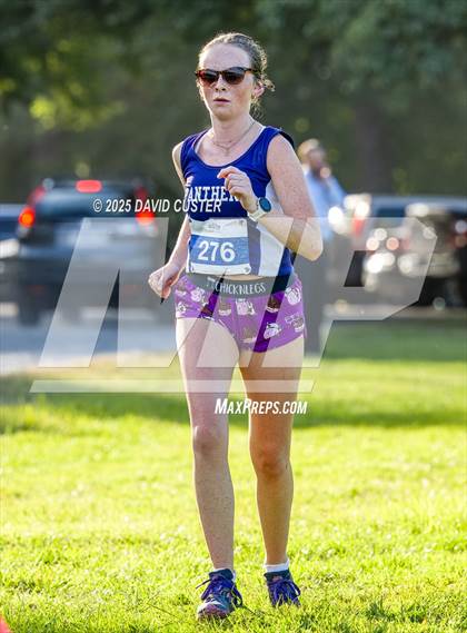 Thumbnail 3 in Potomac Falls @ Dominion photogallery.