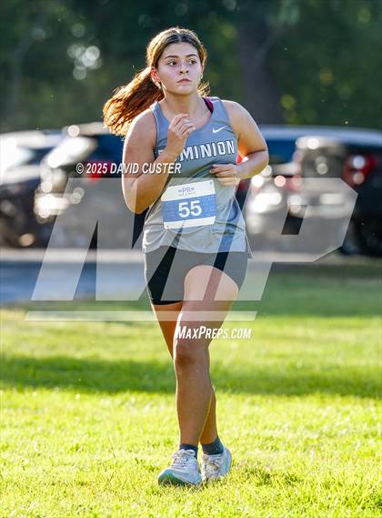 Thumbnail 3 in Potomac Falls @ Dominion photogallery.