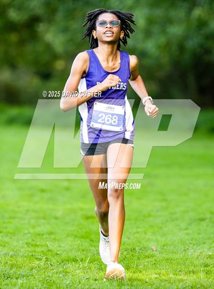 Thumbnail 2 in Potomac Falls @ Dominion photogallery.