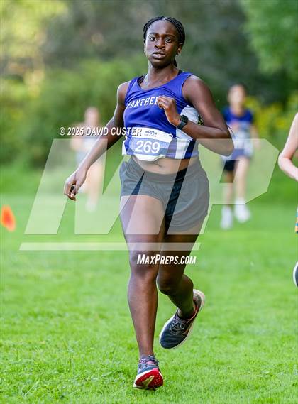 Thumbnail 2 in Potomac Falls @ Dominion photogallery.