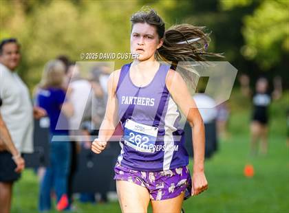 Thumbnail 2 in Potomac Falls @ Dominion photogallery.