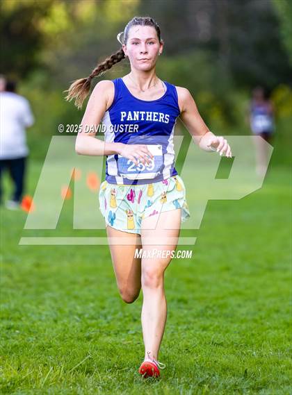 Thumbnail 3 in Potomac Falls @ Dominion photogallery.