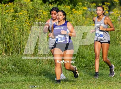 Thumbnail 3 in Potomac Falls @ Dominion photogallery.