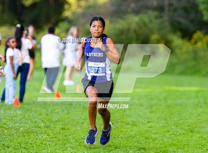 Thumbnail 2 in Potomac Falls @ Dominion photogallery.