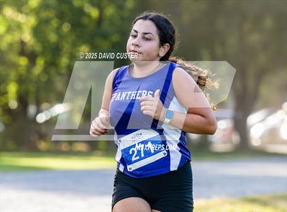 Thumbnail 2 in Potomac Falls @ Dominion photogallery.