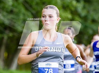 Thumbnail 1 in Potomac Falls @ Dominion photogallery.