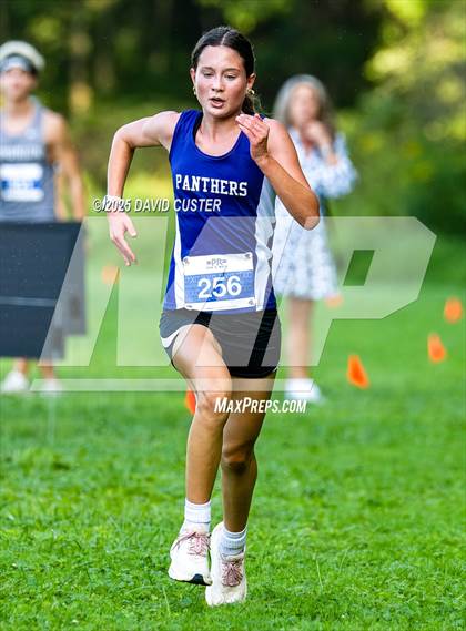 Thumbnail 3 in Potomac Falls @ Dominion photogallery.