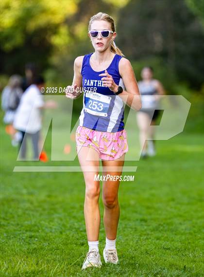 Thumbnail 1 in Potomac Falls @ Dominion photogallery.