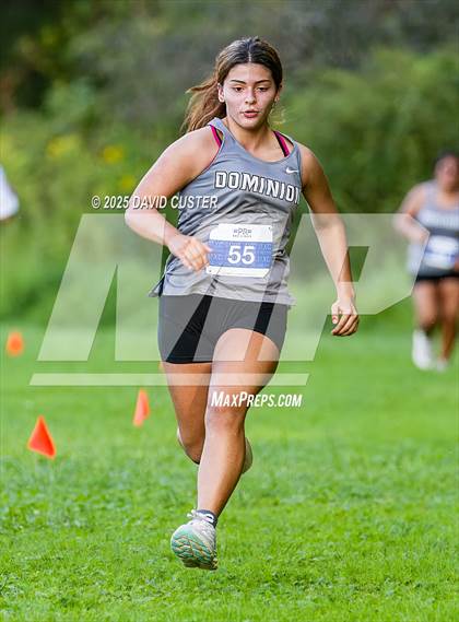 Thumbnail 2 in Potomac Falls @ Dominion photogallery.