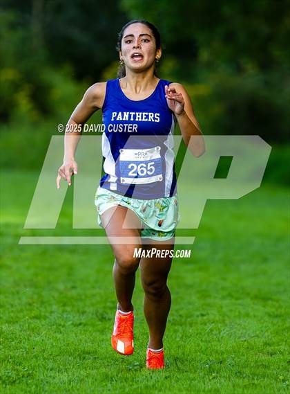 Thumbnail 1 in Potomac Falls @ Dominion photogallery.