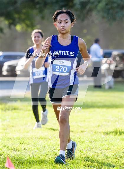 Thumbnail 3 in Potomac Falls @ Dominion photogallery.