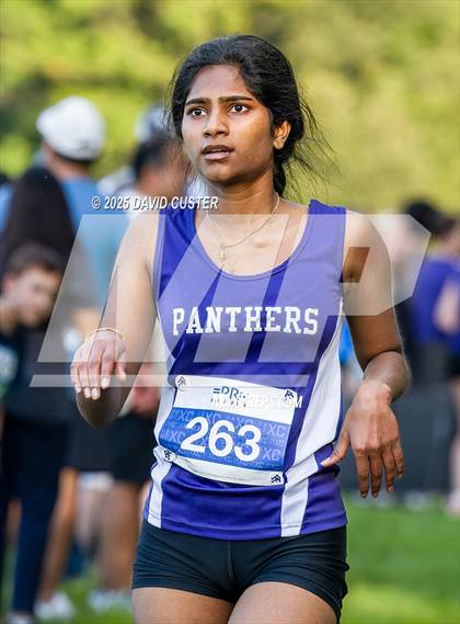 Thumbnail 1 in Potomac Falls @ Dominion photogallery.