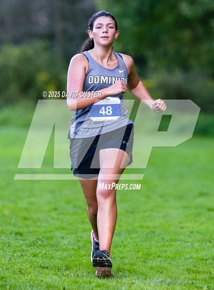 Thumbnail 2 in Potomac Falls @ Dominion photogallery.