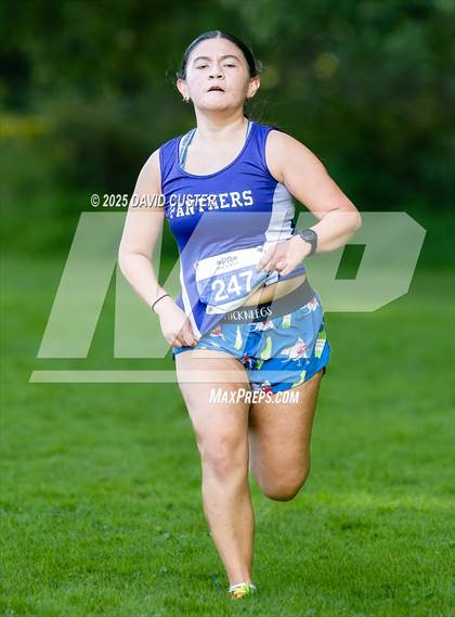 Thumbnail 2 in Potomac Falls @ Dominion photogallery.