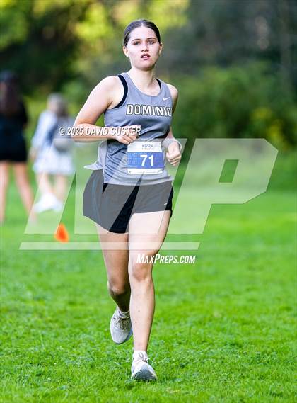 Thumbnail 3 in Potomac Falls @ Dominion photogallery.