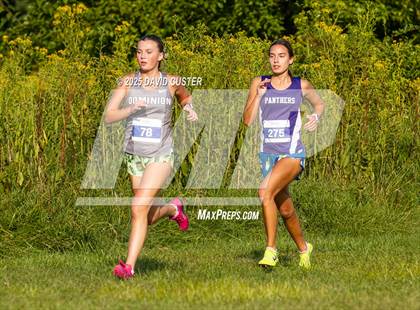 Thumbnail 2 in Potomac Falls @ Dominion photogallery.