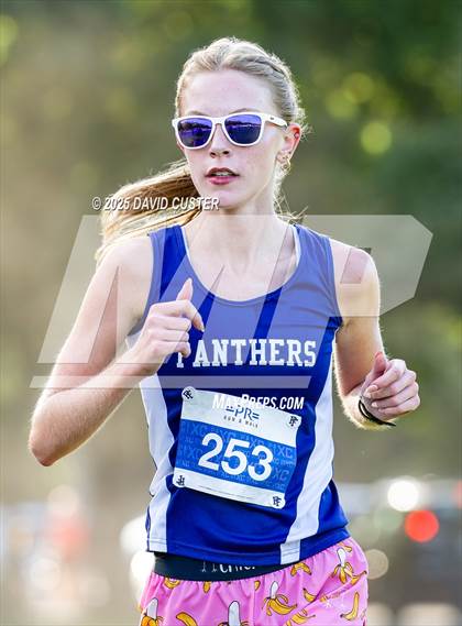 Thumbnail 1 in Potomac Falls @ Dominion photogallery.