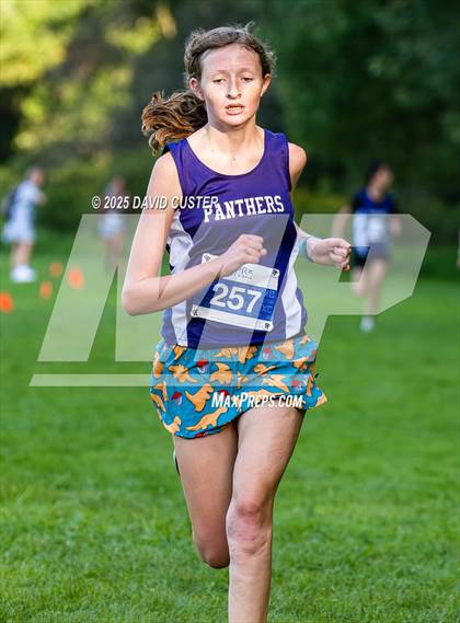 Thumbnail 3 in Potomac Falls @ Dominion photogallery.