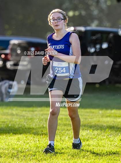 Thumbnail 1 in Potomac Falls @ Dominion photogallery.