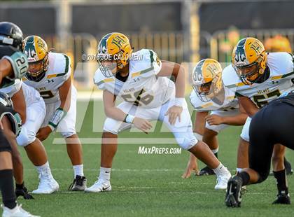 Thumbnail 2 in Harlan vs Holmes photogallery.