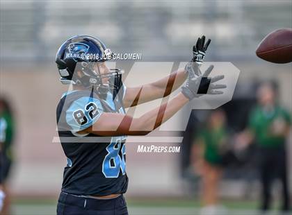 Thumbnail 3 in Harlan vs Holmes photogallery.