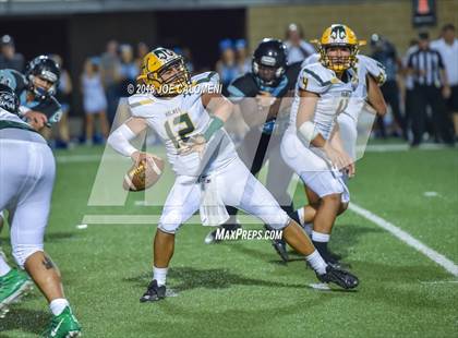 Thumbnail 3 in Harlan vs Holmes photogallery.