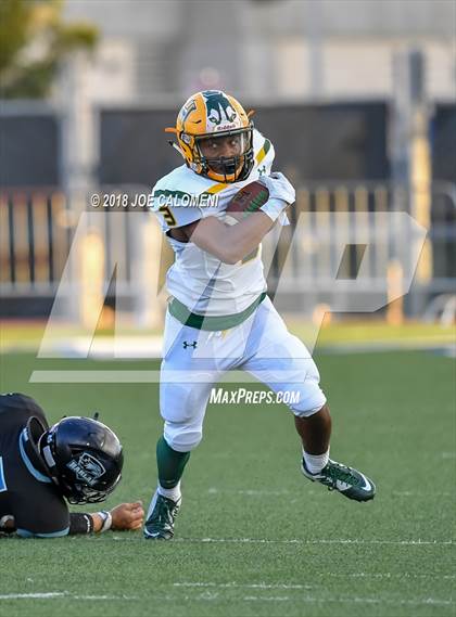 Thumbnail 3 in Harlan vs Holmes photogallery.
