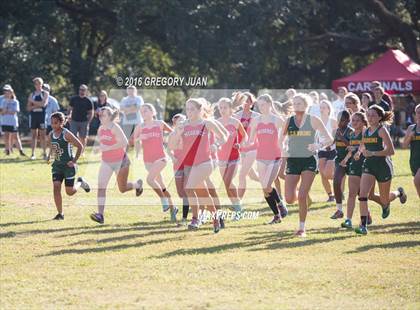 Thumbnail 1 in New Orleans District Cross Country Championships photogallery.