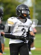 Photo from the gallery "St. Mary's @ Cardinal O'Hara"