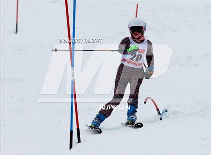 Thumbnail 3 in MCPSAC Hunt Hollow Slalom (First Run) photogallery.