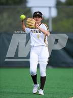 Photo from the gallery "Orange Glen @ Francis Parker"